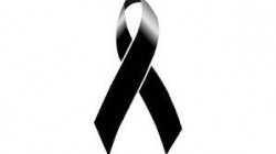 eaj, pnv, congreso, aitor esteban, 11m, aniversari