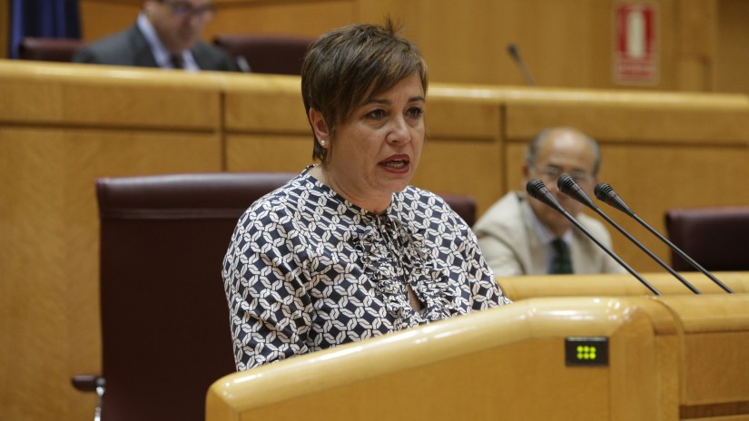 eaj, pnv, congreso, cardenal, miguel, csd, consejo